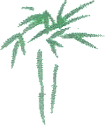 logo palme